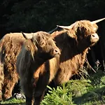 Feriengut Unterhochstaett Фермерский дом Швендт