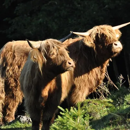 Feriengut Unterhochstaett ファームステイ シュヴェント