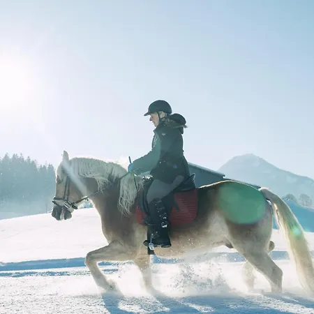 ファームステイ Feriengut Unterhochstaett