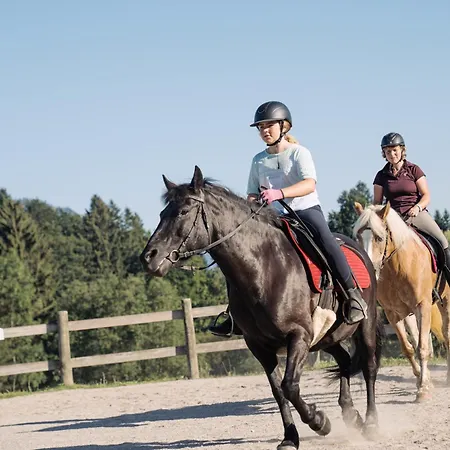 Feriengut Unterhochstaett * Schwendt (Kaiserwinkl)