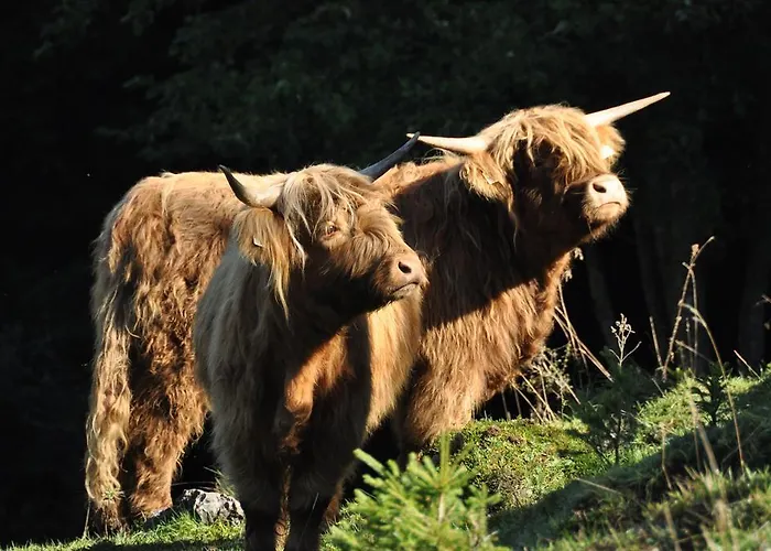 Feriengut Unterhochstaett Alojamento de Turismo Rural Schwendt (Kaiserwinkl)