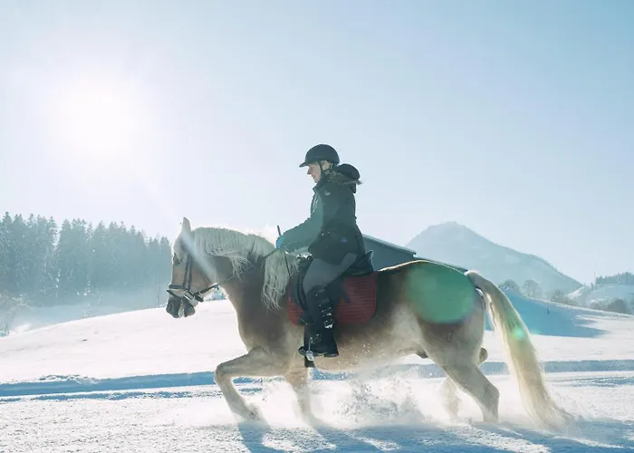 Alojamento de Turismo Rural Feriengut Unterhochstaett