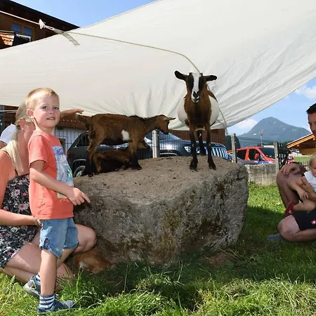 Farm stay Feriengut Unterhochstatt Schwendt (Kaiserwinkl)