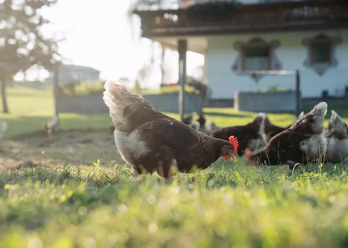 Feriengut Unterhochstaett *
